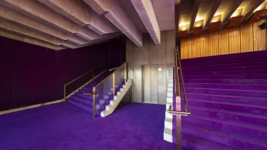 A lift and two staircases beside it with purple carpet.