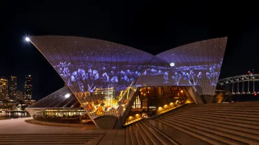 The Sydney Opera House sails at night illuminated with an outback scene.